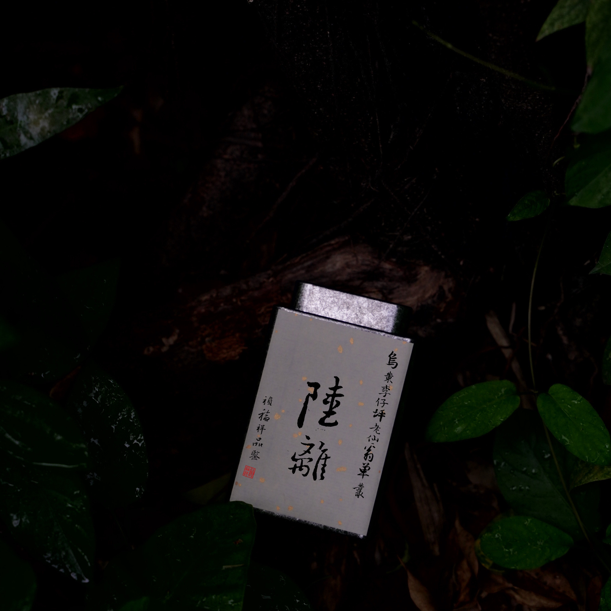 祯福祥 陆离 老仙翁 老枞 凤凰单丛 李仔坪