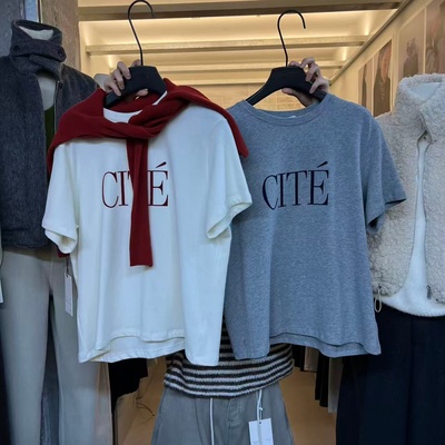 WEARELAB2025冬新款圆领宽松百搭磨毛加厚短袖字母T恤打底衫2328