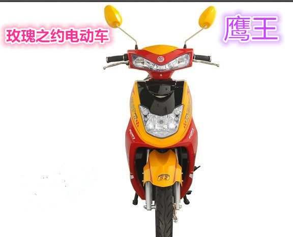 电动车外壳配件玫瑰之约塑壳子外壳玫瑰之约灯具全套及散件电瓶车