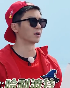 海边花儿与少年太阳眼镜李晨同款