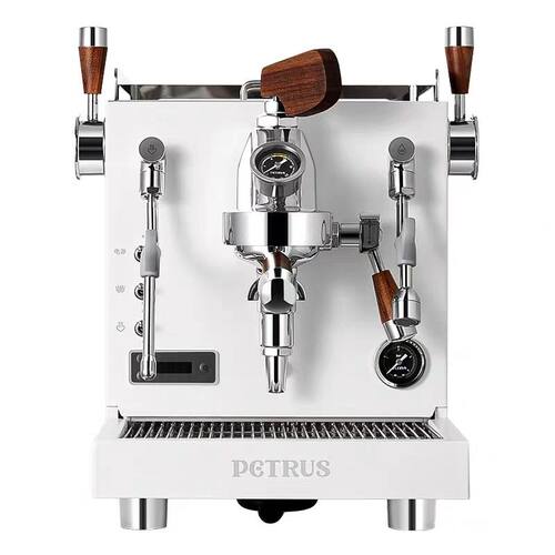 Petrus/柏翠 PE3922pro家用商用半自动咖啡机意式双储水式锅炉