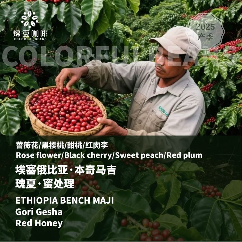 埃塞俄比亚戈里瑰夏蜜处理咖啡豆