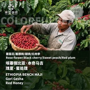 新产季埃塞俄比亚本奇马吉戈里瑰夏蜜处理精品意式手冲咖啡豆