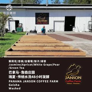 2025新产季巴拿马詹森庄园泻湖地块瑰夏水洗精品手冲意式咖啡豆