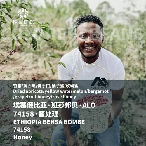 埃塞BOMBEALO蜜处理咖啡豆