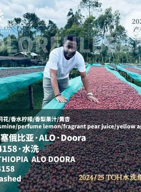 2025产季埃塞俄比亚ALO Doora水洗TOH冠军精品手冲意式咖啡豆
