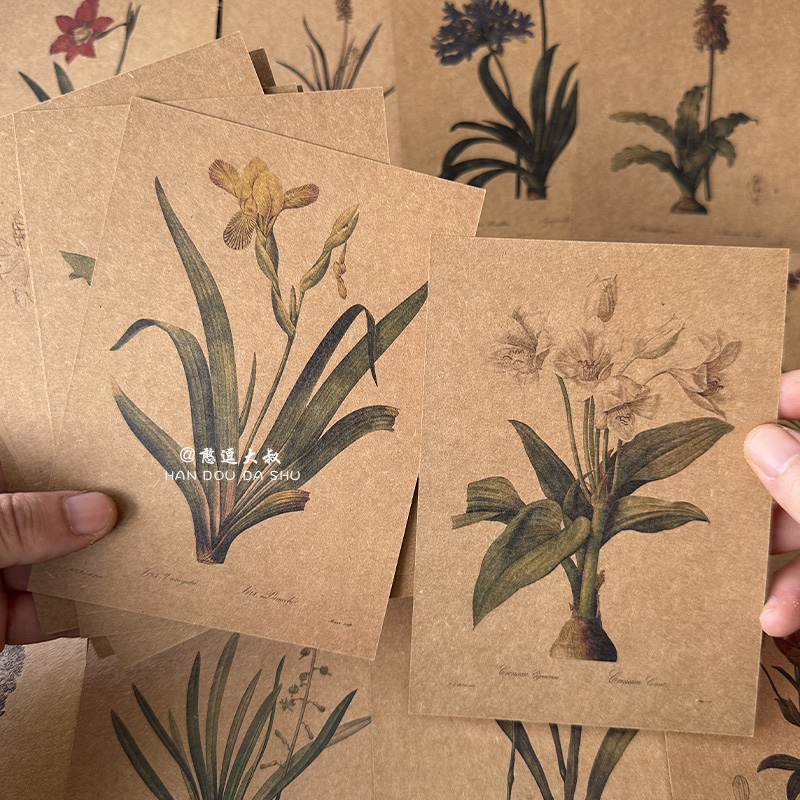 百合花手绘牛皮纸复古贺卡明信片硬卡手写生日情人节表白礼物卡片