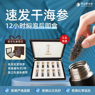 博益健辽参速发即食干海参100g礼盒装 送礼 包邮