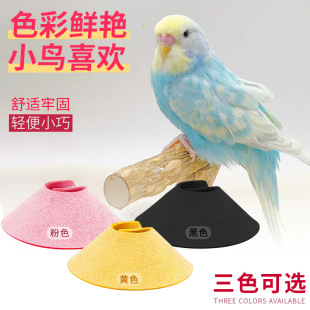 鹦鹉防晒空顶帽遮阳帽小鸟防咬脖圈彩色三色可选宠物用品