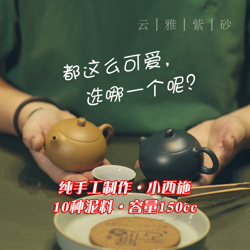 一人饮小茶壶西施壶150ml 云雅单壶家用茶壶宜兴紫砂壶纯手工女士