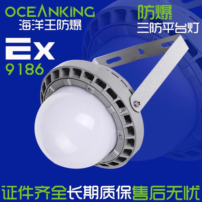 海洋王防爆三防平台灯户外防水