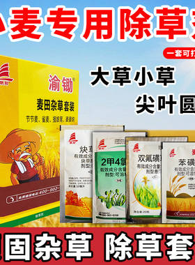渝锄小麦田除草剂组合春冬小麦田苗后专用除草剂除草农药禾阔双除