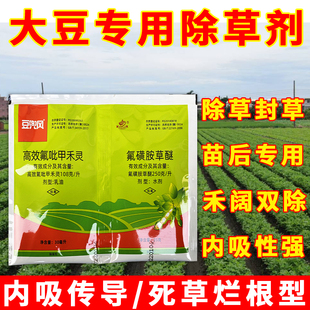 豆兜风花生大豆田专用除草剂苗后除草高效氟吡甲禾灵氟磺胺草醚