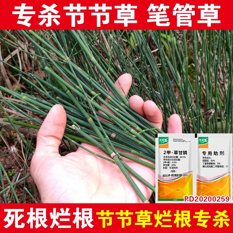 专杀节节草克星二甲·草甘磷除草烂根剂水花生克星除草剂正品农药