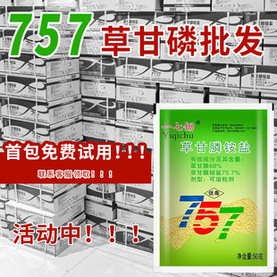 一七锄75.7草甘膦铵盐柑橘园果园茶园杂草除草剂草甘磷死草烂根剂