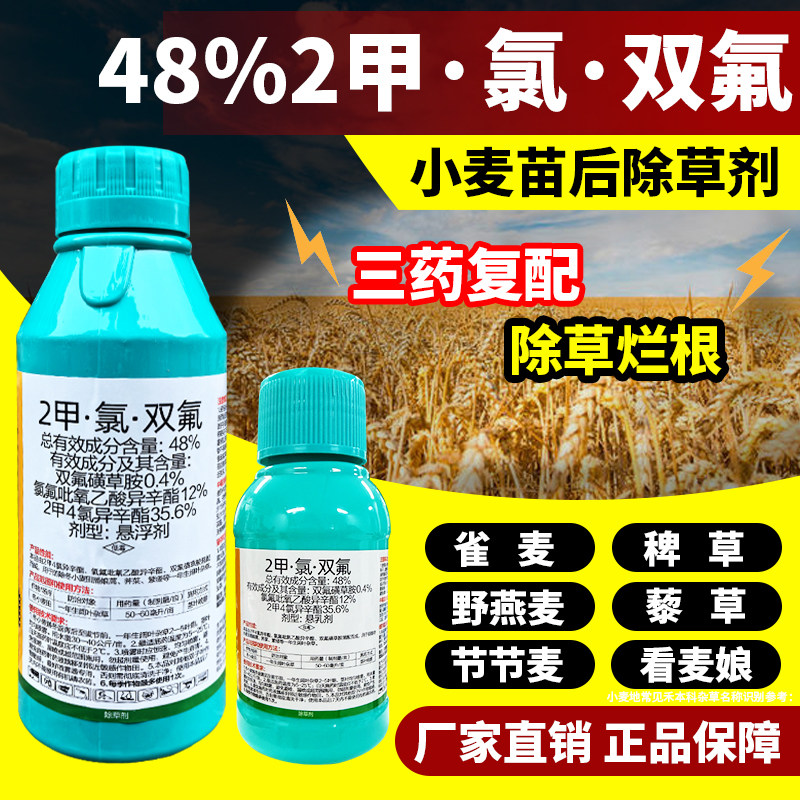小麦除草剂2甲氯双氟皇竹草黑麦草甜象草巨菌草牧草除禾本科杂草