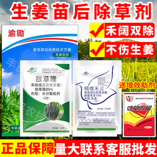 生姜除草剂生姜除草专用药敌草隆精喹禾灵大姜黄姜子姜苗后杀草药
