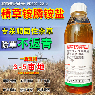 精草胺膦胺盐 果园除草杀草剂牛筋草恶性杂草强力烂根剂专用一扫