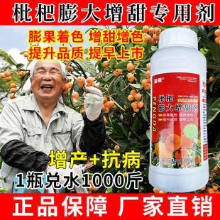 枇杷专用叶面肥枇杷膨大剂增甜剂降酸膨大促花促果抗病逆靓果正品