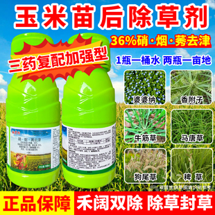 玉米除草剂苗后专用除草36%硝磺草酮烟嘧磺隆莠去津禾阔双除封闭