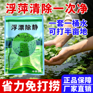 浮萍青苔清除一次净水稻田除浮萍青苔阔叶杂草莎草科杂草不伤稻苗