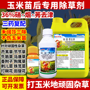玉米苗后除草剂玉米地除草专用剂硝磺草酮烟嘧磺隆莠去津三药复配