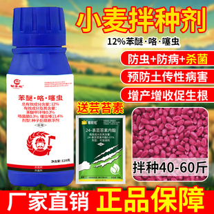 苯醚咯菌腈噻虫嗪水稻花生马铃薯小麦专用拌种剂防虫防病菌种衣剂