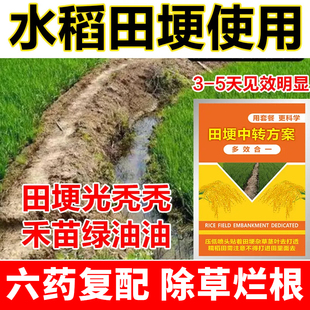 水稻田埂除草剂组合旱稻田埂除草专用剂田坎水田埂田坎除顽固性草