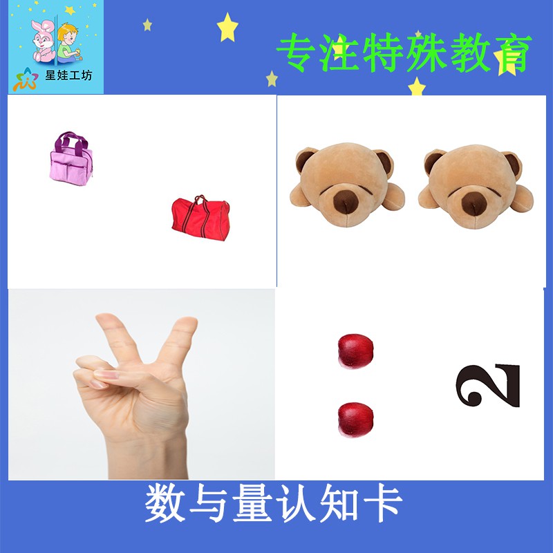 发育迟缓自闭孤独症逻辑思维卡片