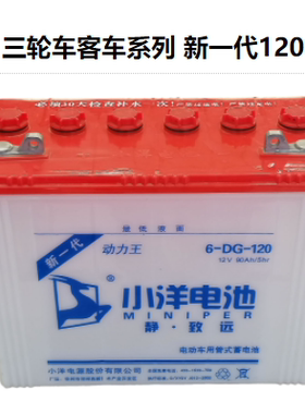 正品小洋水电瓶120新一代电动三轮车拉客车叉车专用蓄电池6DG120