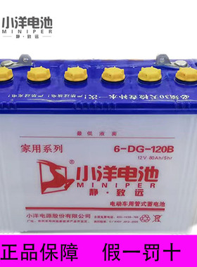 正品小洋电池假一罚十6DG120B型电动三轮车拉坯叉车专用水电瓶