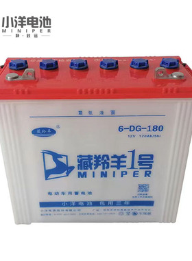 小洋电池6DG180型90斤牵引水电瓶电动三轮车垃圾转运车专用包邮