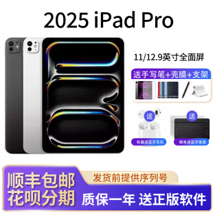 苹果 Pro2025平板电脑M5芯片13寸新款 iPad 2024 英寸 Apple