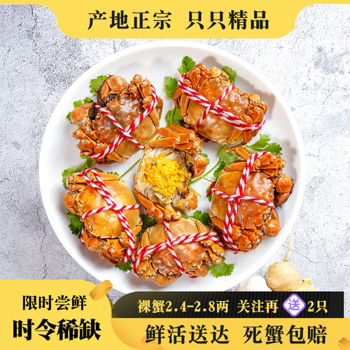 鲜活六月黄大闸蟹现货