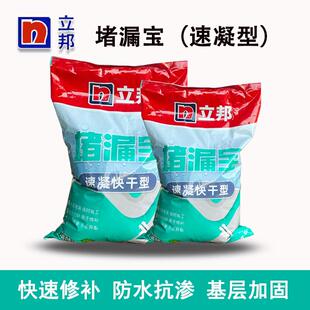 立邦快涂宝水不漏堵漏宝快干水泥强力卫生间防水材料堵漏王灰色
