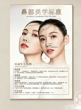 鼻眼脸光影面部美学标准装饰画轻医美整形挂画美容院高级感墙壁画