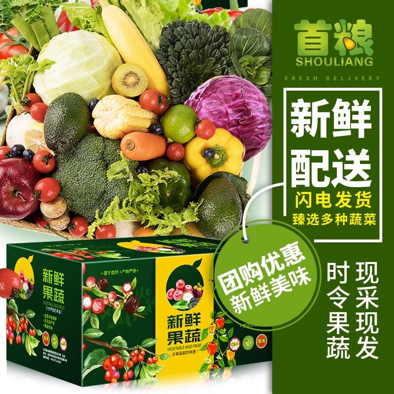 蔬菜合作社：农业与科技携手打造绿色产业链