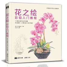 花之绘 彩铅入门教程书籍零基础初学者手绘插画本写实花卉植物草多肉画册临摹教材线稿成人儿童美术兴趣涂色 中国书店