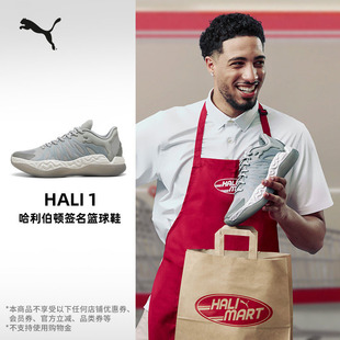 哈利伯顿个人专属签名粉色篮球鞋PUMA彪马蓝色运动鞋HALI1 313450