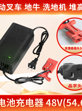 电动叉车锂电池充电器DZL482002(48V3A)叉车配件CBD15/18