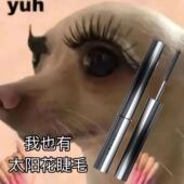 临期跳水 juduo橘朵小钢管睫毛膏防水纤长卷翘不晕染打底细梳刷头