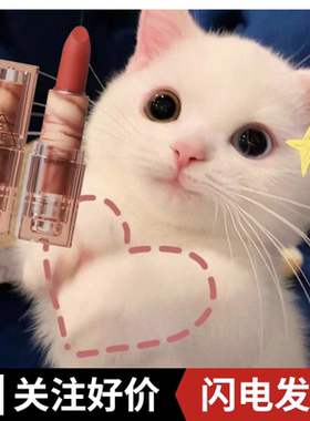 跳水好价 3CE三熹玉柔雾唇泥口红#WARM BROWNIE 唇釉220