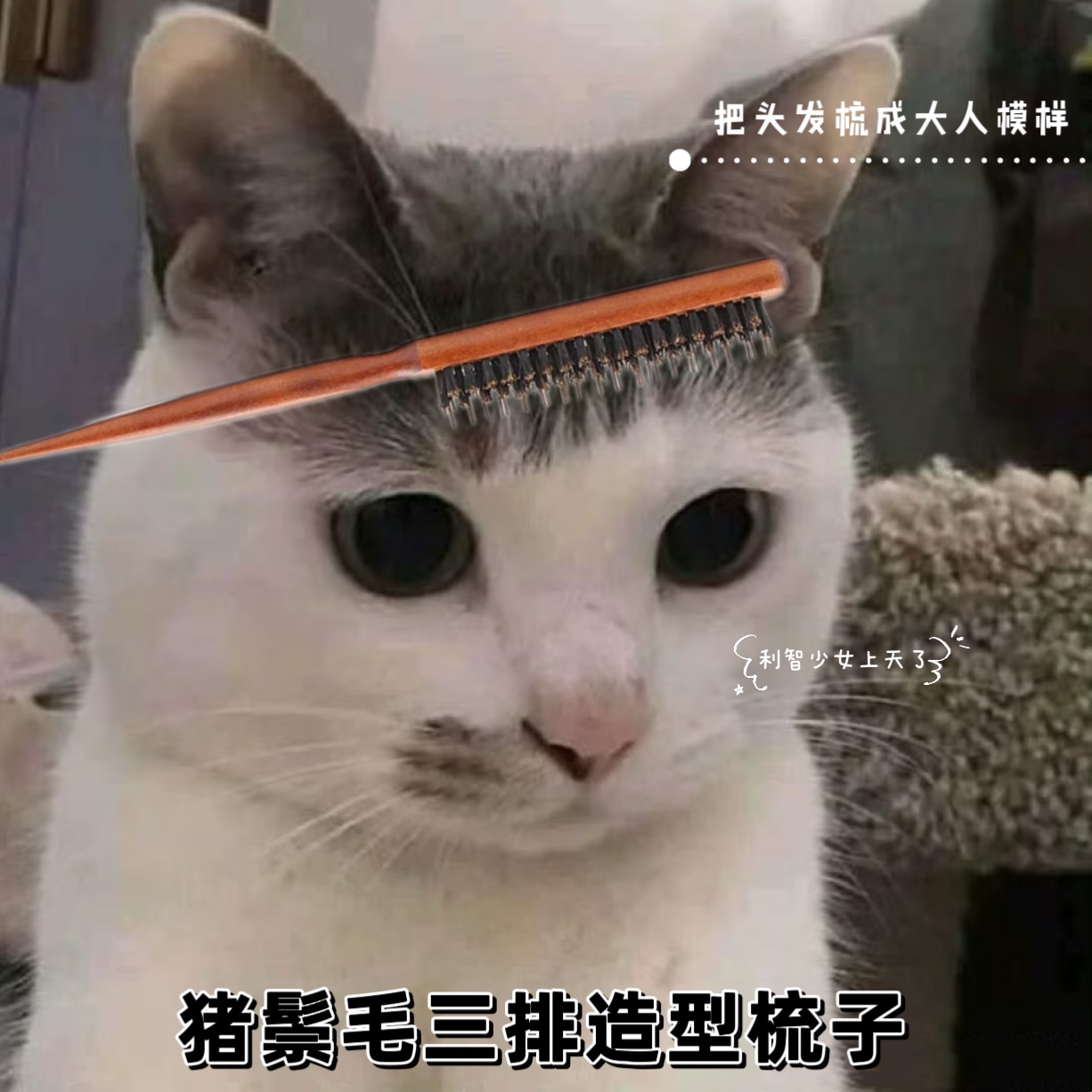 高颅顶！猪鬃毛三排密齿尖尾美发梳子蓬松造型化妆师专用晚妆盘发