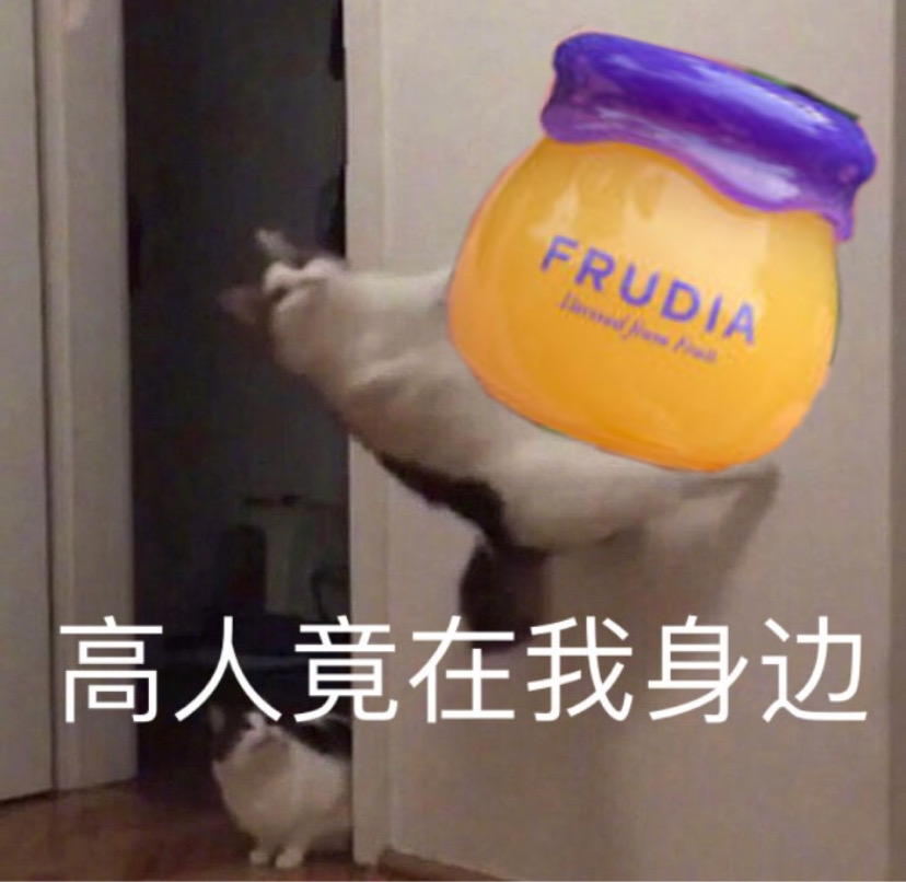 FRUDIA润唇膏蓝莓小蜜罐唇膜抚平唇纹缓解起皮打底 美容护肤/美体/精油 润唇膏 原图主图