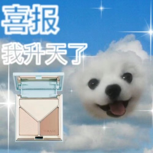 彩棠TIMAGE哑光高光修容一体盘