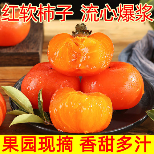 软甜柿子青柿子红冻硬柿子懒柿子5斤原料大红柿9斤广西恭城