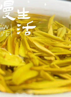 26年新茶贵州明前茶头茶黎平罗里高山黄茶高档黄金芽茶叶袋装茶叶