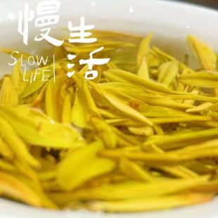 26年新茶贵州明前茶头茶黎平罗里高山黄茶高档黄金芽茶叶袋装茶叶