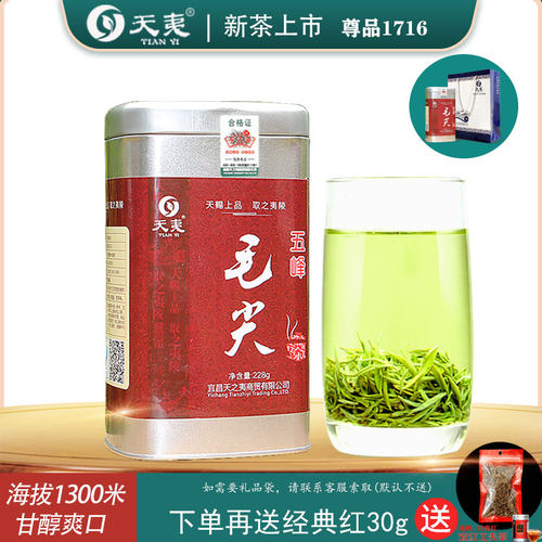 含芽率98%尊品1716五峰毛尖罐装