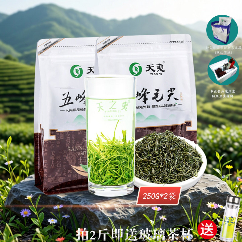 2026新茶回头率99%百圆惠五峰毛尖500g湖北宜昌采花特级浓香绿茶